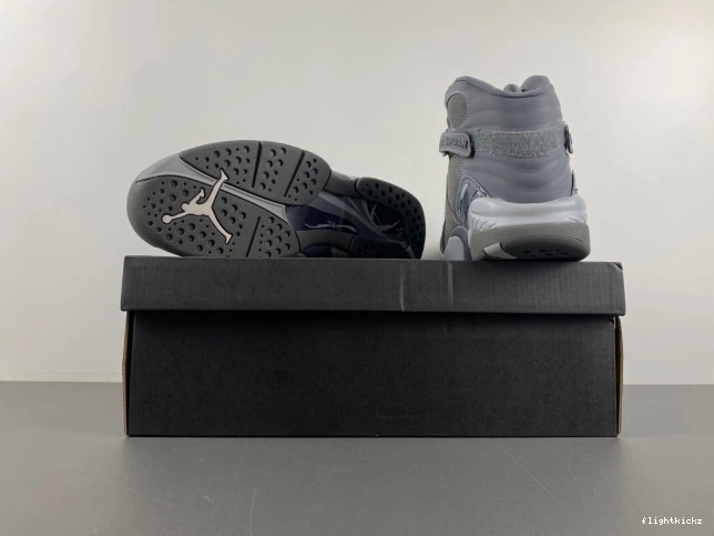 Retro Jordan 8 305381-014 Grey Cool 1016